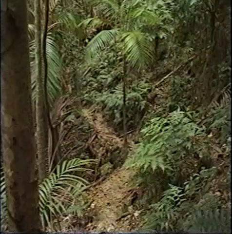 FKK Videos Naked Celebrations - 1